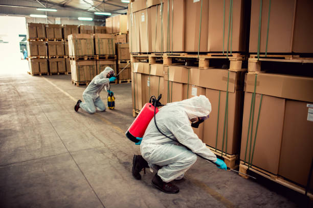 Best Emergency Pest Control  in Creedmoor, NC