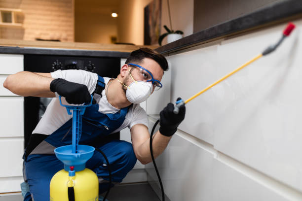 Best Local Pest Control Services  in Creedmoor, NC