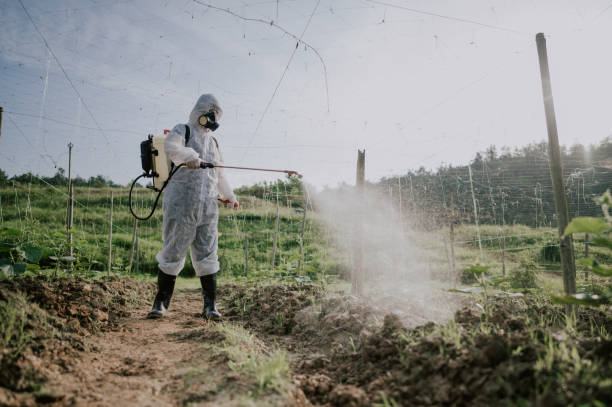 Best Mosquito Control Services  in Creedmoor, NC