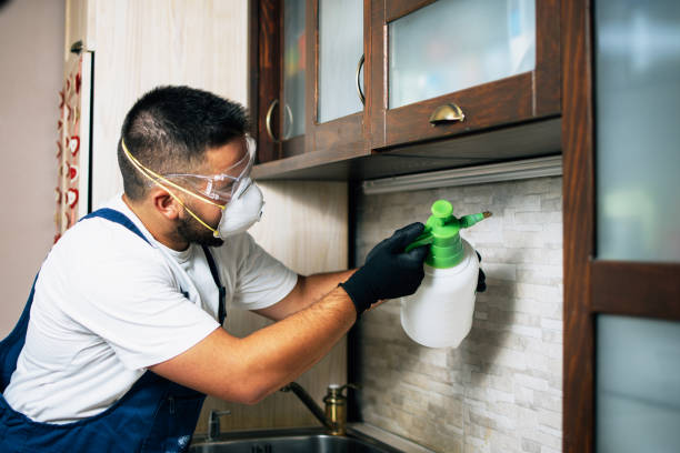 Best Pest Control Near Me  in Creedmoor, NC