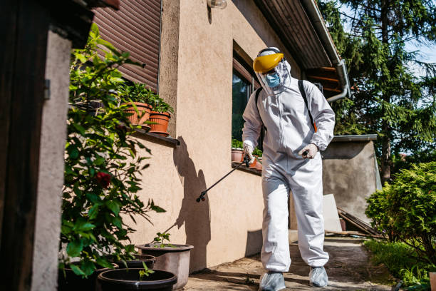 Best Affordable Pest Control Services  in Creedmoor, NC