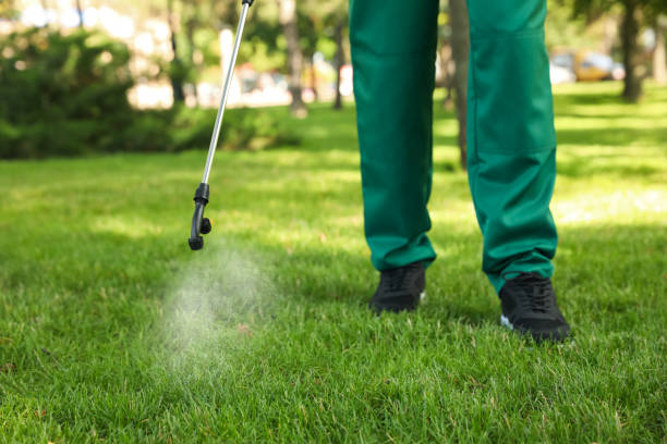 Best Wasp Removal Services  in Creedmoor, NC