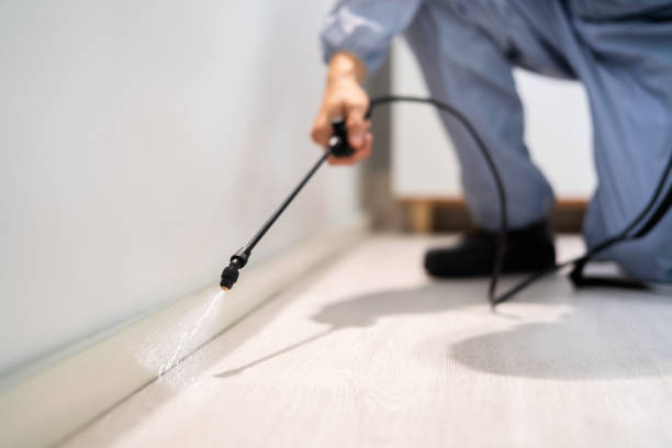 Best Commercial Pest Control Services  in Creedmoor, NC
