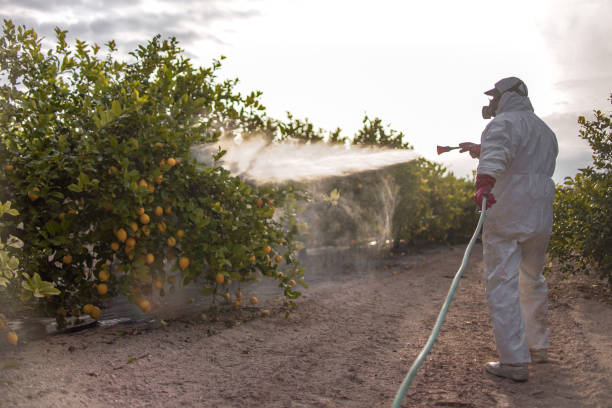 Best Best Pest Control Companies  in Creedmoor, NC