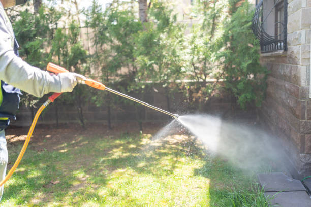 Best Local Pest Control Services  in Creedmoor, NC