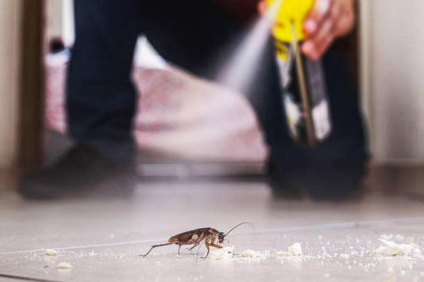 Creedmoor, NC Pest Control Company