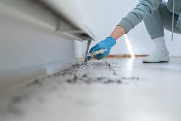Wildlife Control Services in Creedmoor, NC