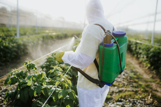 Best Insect Control  in Creedmoor, NC